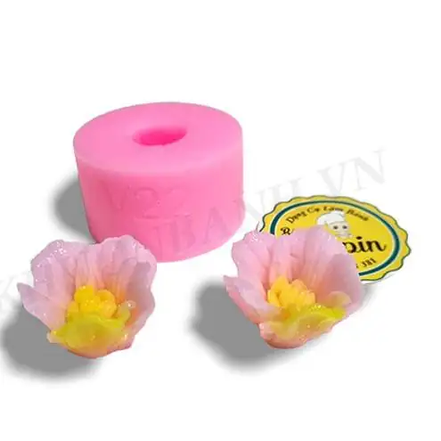 Trải nghiệm Khuôn silicon bông hoa mã V 22 có đáng mua không