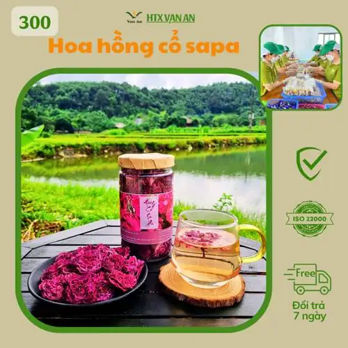 100 G Trà hoa hồng cổ sapa Sản phẩm của ạn An sạch an toàn