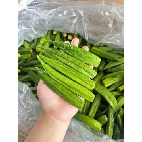 1 Kg Đậu Bắp Sấy Giòn Ăn Liền