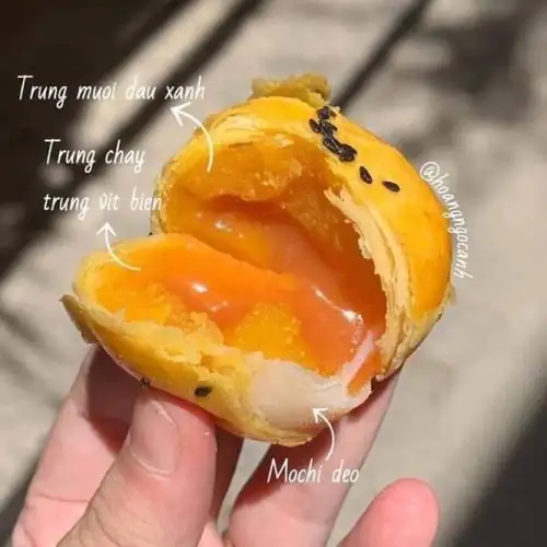 10 ẾC BÁÀN LỚỨẢY VÀN G