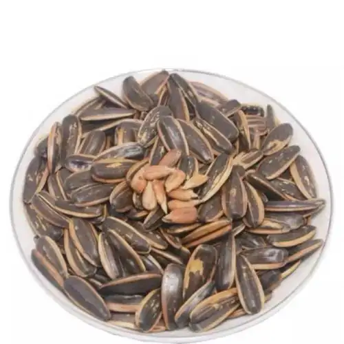1 Kg Hạt Hướng Dương Tẩm Vị Dừa, Thơm Ngon, Chắc, Mẩy, Bùi Béo